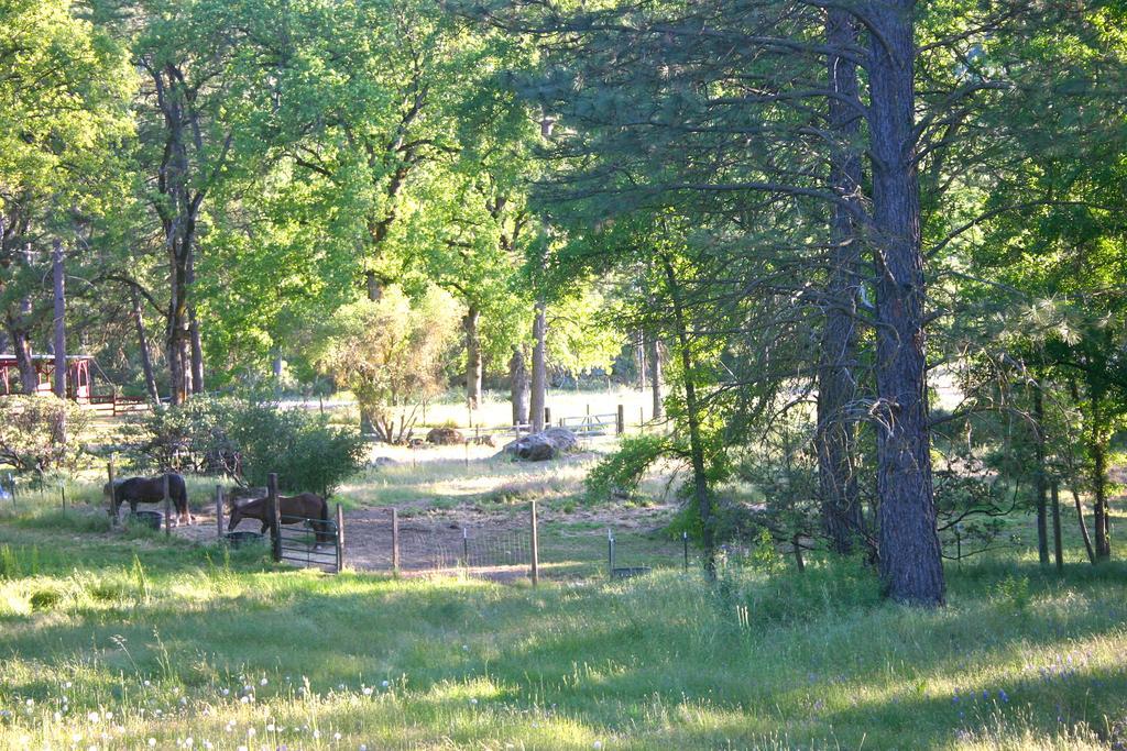 Little Red Caboose Villa Oakhurst Exterior photo